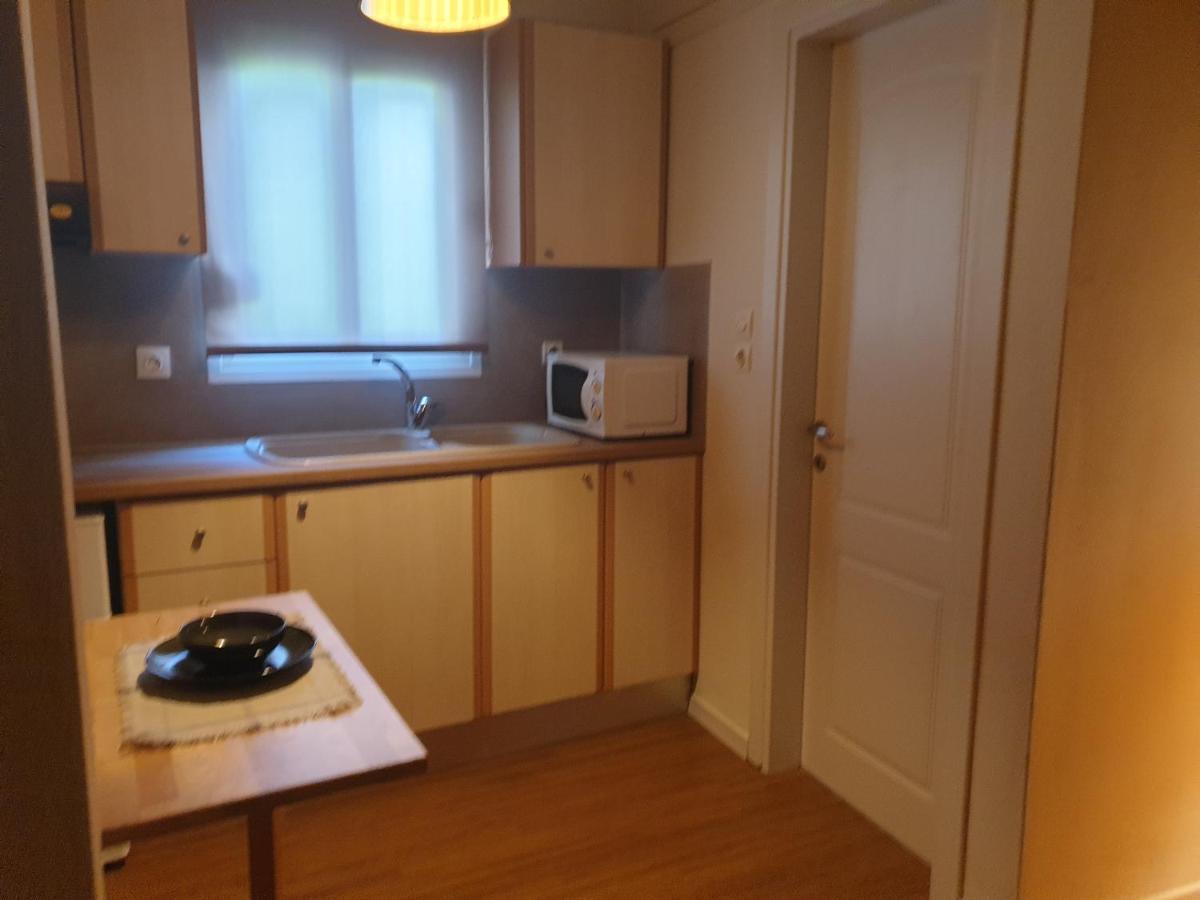 A Pleasent Small -Studio Close To The Port Of ヴォロス エクステリア 写真
